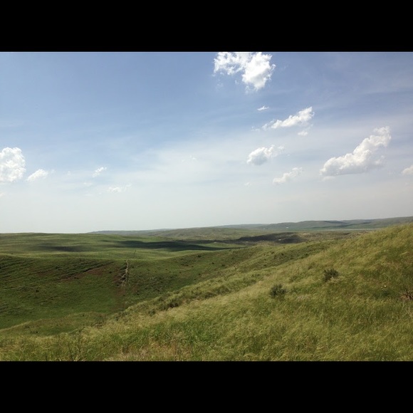 Meet your Posher, Glenda - Picture 6 of 6